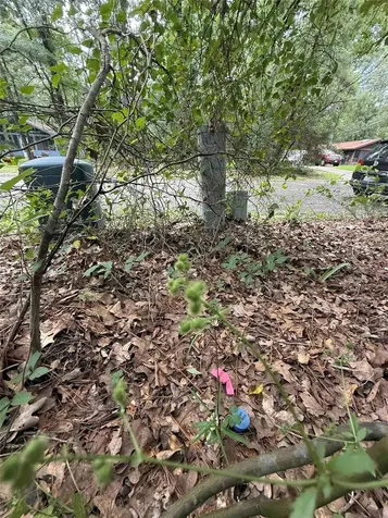 28624 Shawnee Court Huntsville TX 77364
