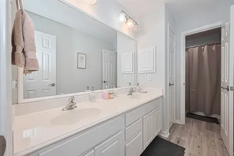 14 Sprite Woods Place The Woodlands TX 77382