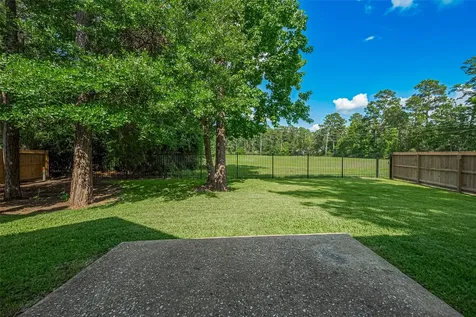14 Sprite Woods Place The Woodlands TX 77382