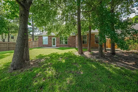 14 Sprite Woods Place The Woodlands TX 77382