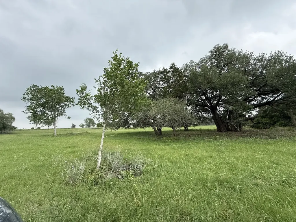 5719-5 Farm To Market 2238 Schulenburg TX 78956
