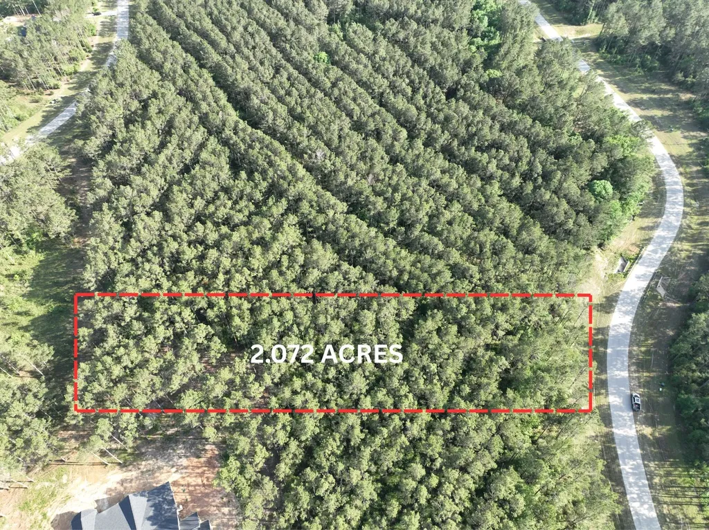 15750 Wooded Trail Way Willis TX 77378