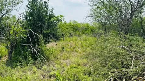 Tbd Lot 1 6.47 Ac Fm 888 Beeville TX 78102