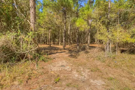 Tbd Frank Cloud Road Huntsville TX 77320