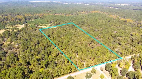 Tbd Frank Cloud Road Huntsville TX 77320