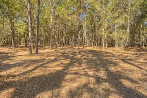 Tbd Frank Cloud Road Huntsville TX 77320