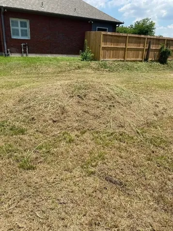 1121 Theresa Street Houston TX 77051