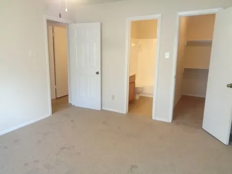 13919 Tower Point Drive Sugar Land TX 77498