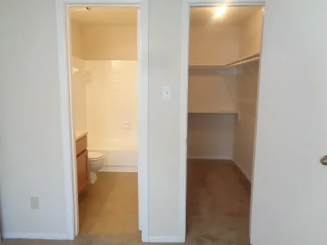 13919 Tower Point Drive Sugar Land TX 77498