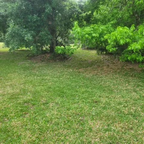 6100 Avenue U Street Santa Fe TX 77517