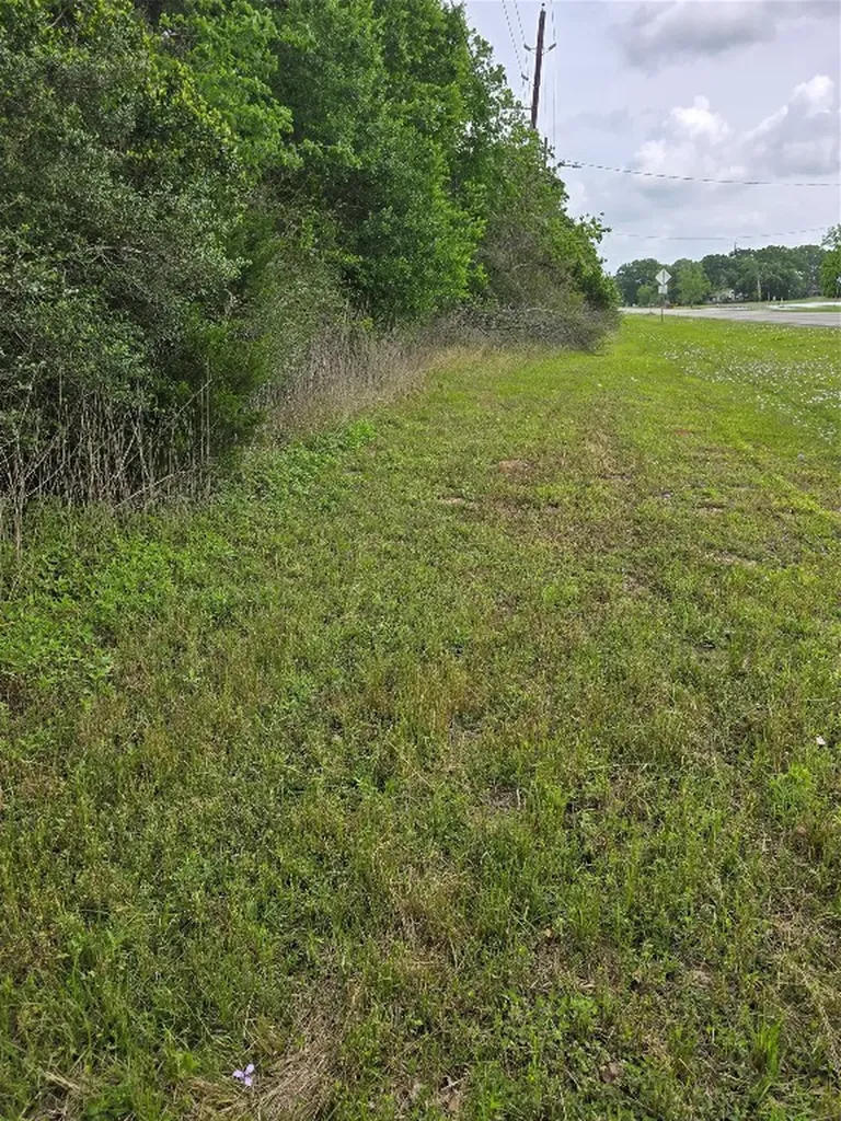 13175 Fm-1458 San Felipe TX 77474