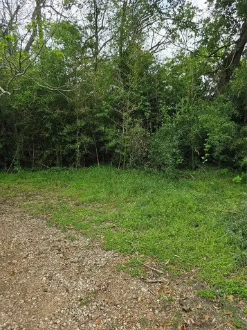 13175 Fm-1458 San Felipe TX 77474