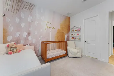 1823 Camille Park Drive Missouri City TX 77459