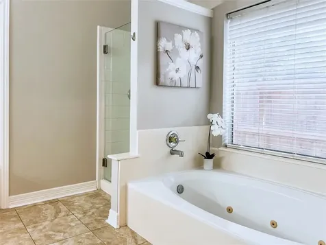 3207 Ivy Bend Drive Pearland TX 77584