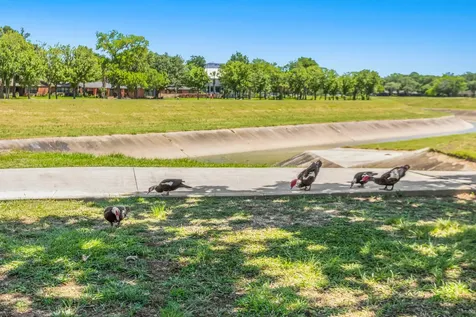 3601 Murworth Drive 6a Houston TX 77025
