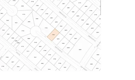 245 Deep Woods Lane Livingston TX 77351