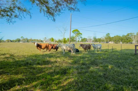 3600 West South Alvin TX 77511
