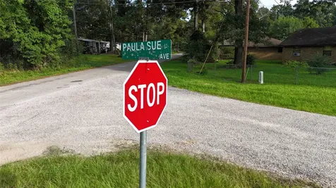50 Paula Sue Avenue Shepherd TX 77371