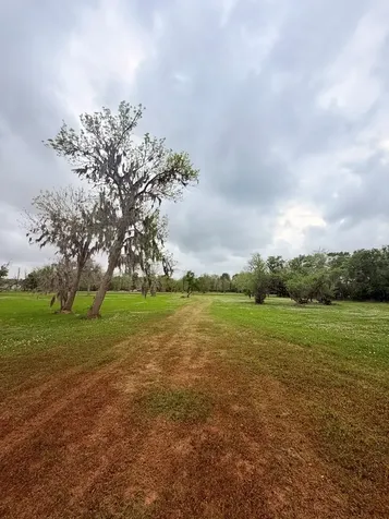 2744 County Road 415c Brazoria TX 77422