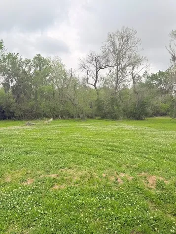 2744 County Road 415c Brazoria TX 77422