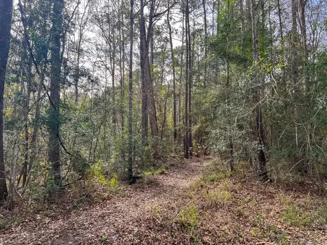 T-1 Lakeview Road Vidor TX 77662