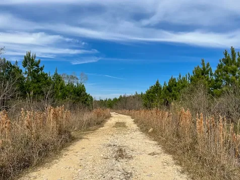 T-1 Lakeview Road Vidor TX 77662
