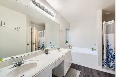 21010 Vista Trace Drive Houston TX 77073