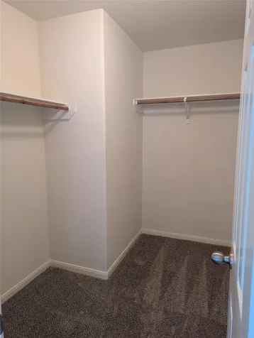 3919 Hollow Cove Lane Richmond TX 77469
