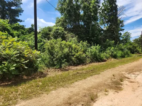 Lot 26 Mayhaw Lane Plantersville TX 77363