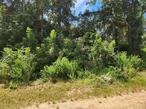 Lot 26 Mayhaw Lane Plantersville TX 77363