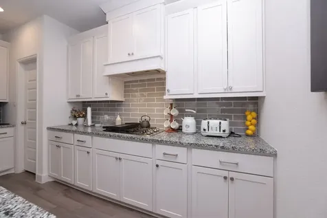 317 Rise Lane Montgomery TX 77316