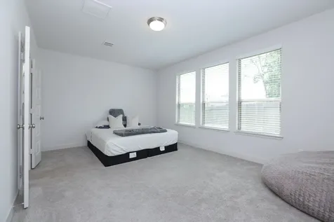 317 Rise Lane Montgomery TX 77316