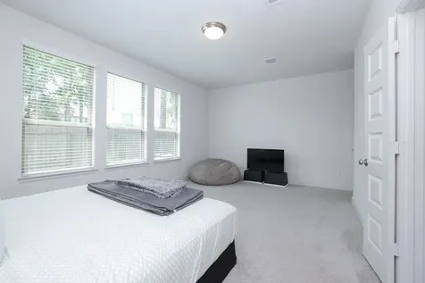 317 Rise Lane Montgomery TX 77316