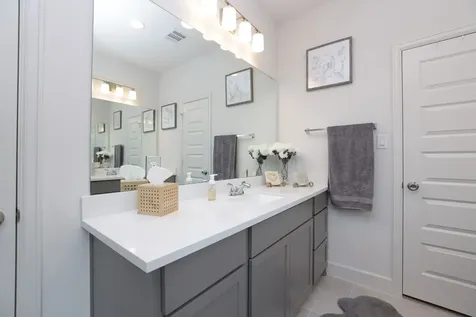 317 Rise Lane Montgomery TX 77316