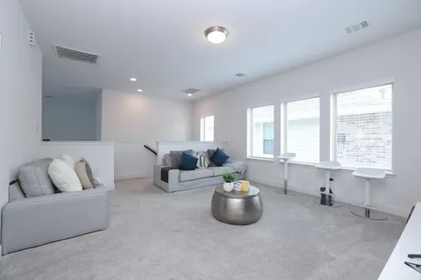 317 Rise Lane Montgomery TX 77316