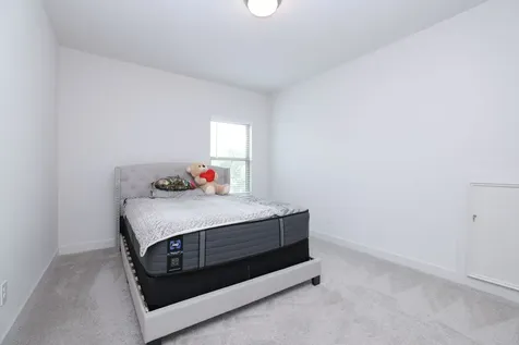 317 Rise Lane Montgomery TX 77316