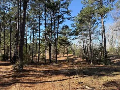 3984 County Road 3100 San Augustine TX 75972