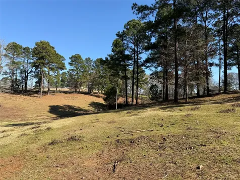 3984 County Road 3100 San Augustine TX 75972