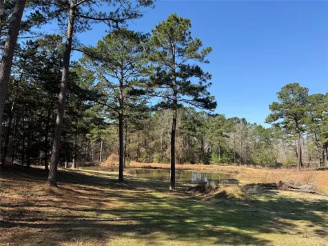 3984 County Road 3100 San Augustine TX 75972