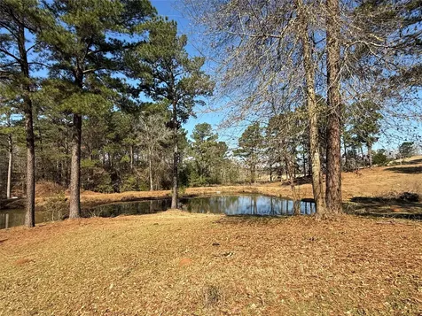 3984 County Road 3100 San Augustine TX 75972