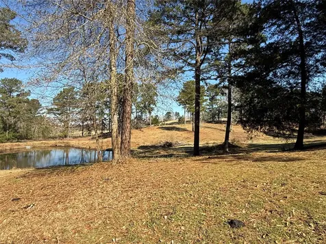 3984 County Road 3100 San Augustine TX 75972
