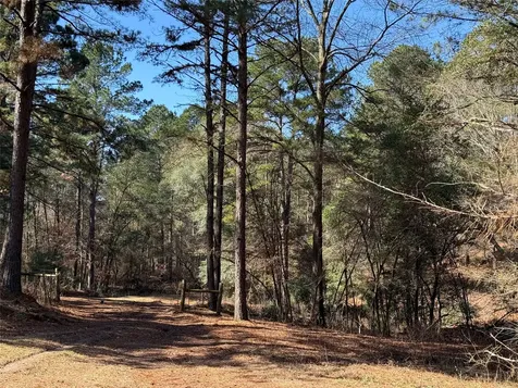 3984 County Road 3100 San Augustine TX 75972