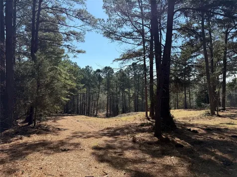 3984 County Road 3100 San Augustine TX 75972
