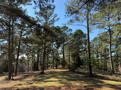3984 County Road 3100 San Augustine TX 75972