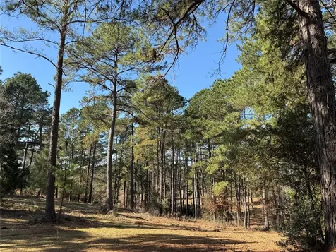 3984 County Road 3100 San Augustine TX 75972
