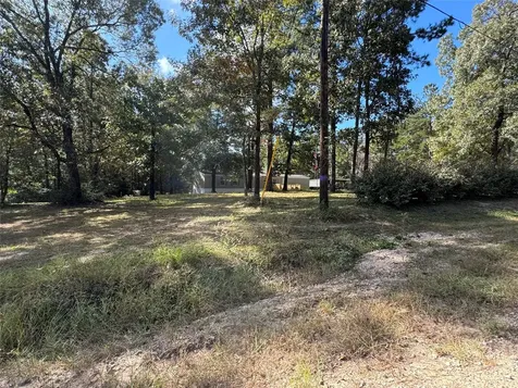 645 Deer Park Drive Brookeland TX 75931