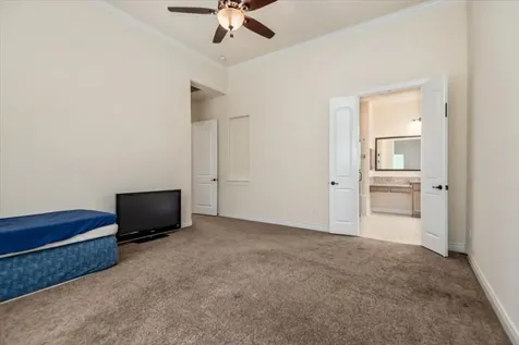 23034 Creek Park Drive Spring TX 77389