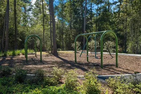 39247 Water Rail Court Magnolia TX 77354