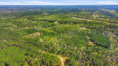 401 Big Buck Drive Cleveland TX 77328