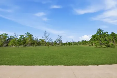 401 Big Buck Drive Cleveland TX 77328